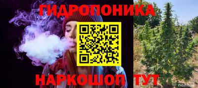 сатива Апшеронск